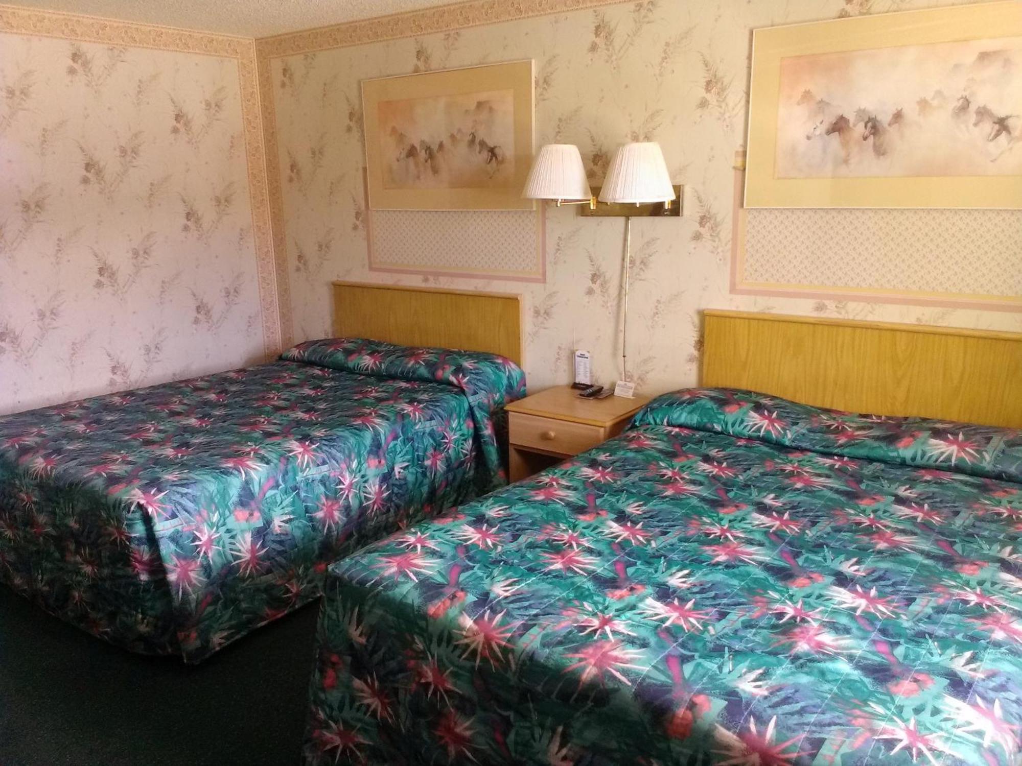 Motel 8 Willcox Δωμάτιο φωτογραφία